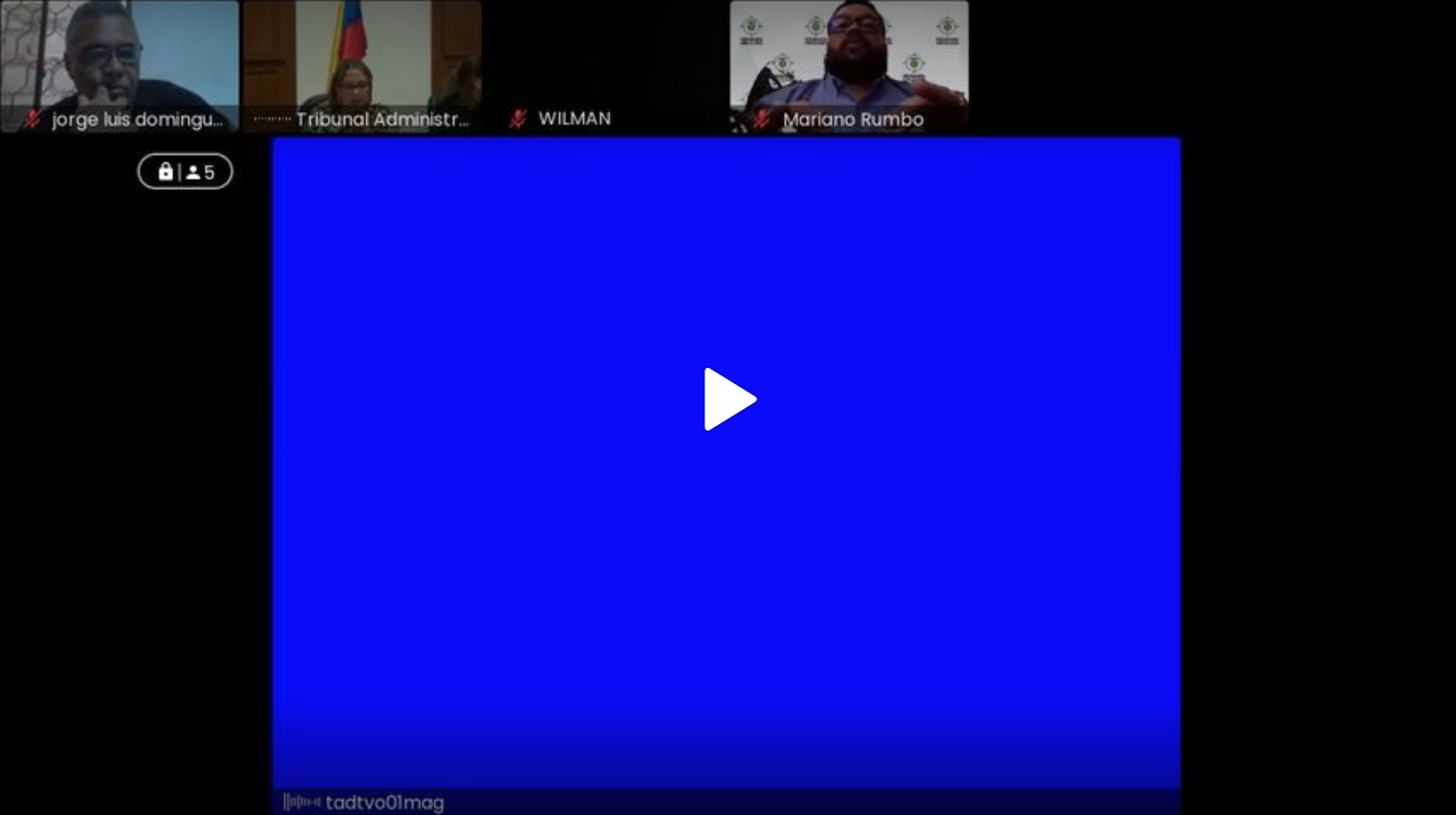 Captura_audiencia_Wilman_pruebas.png